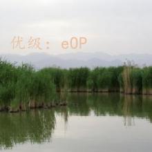 ɱ