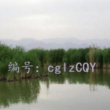 ҵ