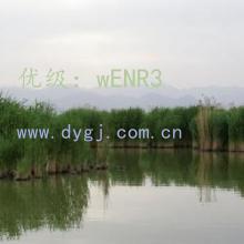 ҵ