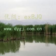 ɱ